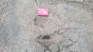 Tapion väkeäkin käynyt tutustumassa 300 m taustavalliin.